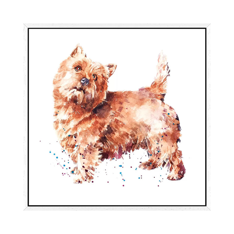 Norwich Terrier - Painting on Canvas, White Framed, 45.72 cm H x 45.72 cm W