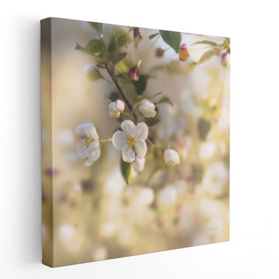 «Blush Blossoms I», reproduction d'art sur toile