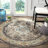 Almyra Oriental Area Rug-85137256-6114204