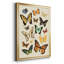 «Collection Flutter I», impression sur papier-667481543-667481542
