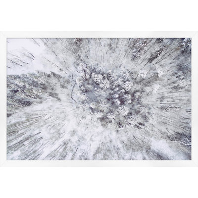 «Winter from Above 1» par Thom Filicia - Photographie de cadre photo sur papier