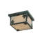 Philpott 2 - Light Flush Mount