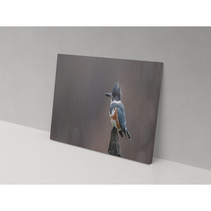 Blue Bird In The Rain - Wrapped Canvas Print, 52cm H x 82cm W x 4cm D