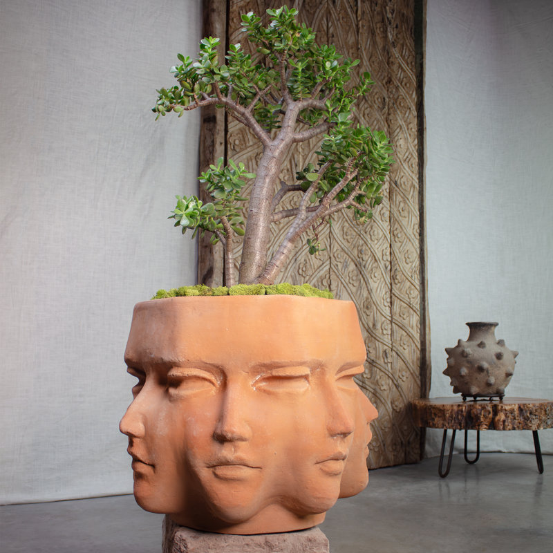 Faces terracotta planter