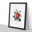 Red Rose Illustration - Framed Print-55616496-55616498