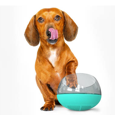 Pet Supplies : Arf Pets Dog Treat Dispenser with Remote Button
