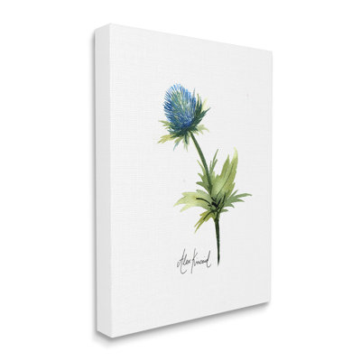 «Simple Thistle», art mural sur toile par Alexandria Gilbert Kincaid