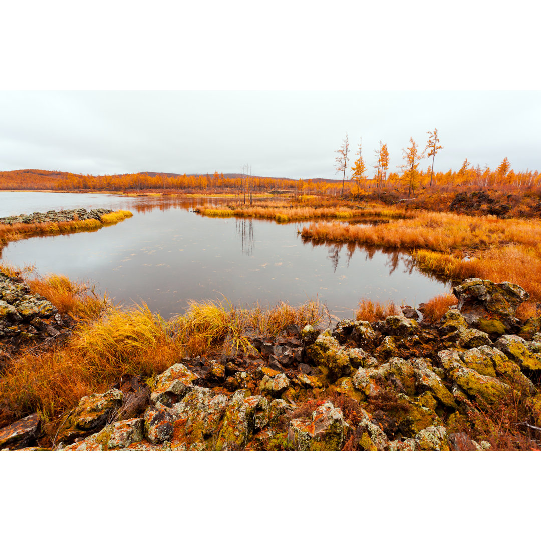 Herbstlandschaft