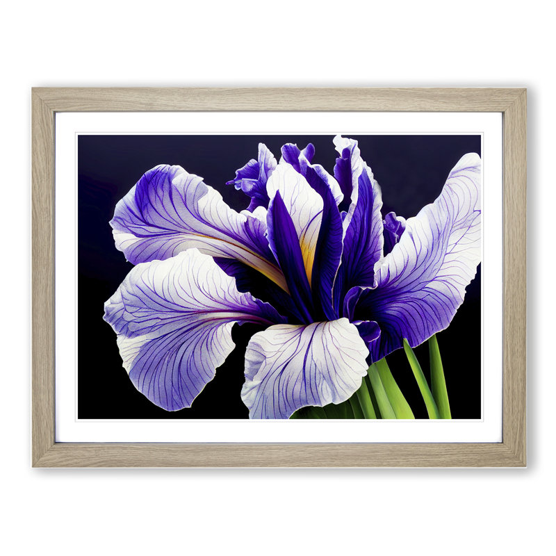 Luscious Iris Flowers 1 Piece Single Picture Frame Wall Art, 34cm H x 46cm W x 2cm D, Oak