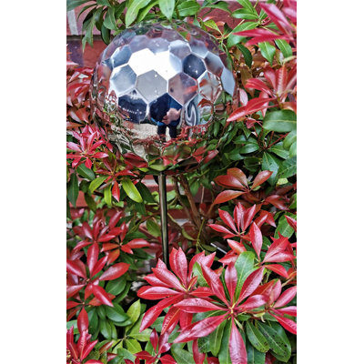 Celsino Stainless Steel Gazing Ball