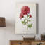 Botanical III - Cavas enveloppés de galerie