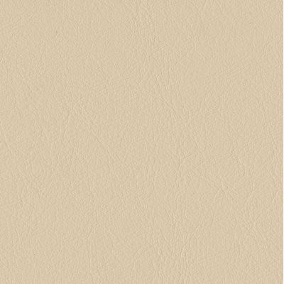Elan Ivory Sample