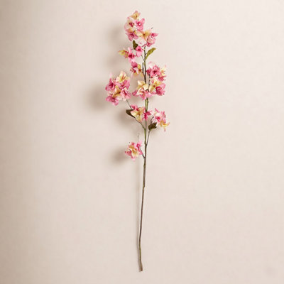 Bougainvillea Floral Stems