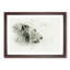 A Lion in Abstract - Picture Frame Graphic Art Print-55629790-55629793
