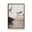 «Sail Boat» par Bree Madden, impression sur papier-1501063140-1501063151-1501063146