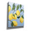 Toile épique «Lemon Tree Light» par Pamela Munger-106173699
