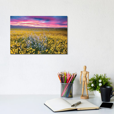 Flower Field Sunrise II by Dennis Frates - Print on Canvas