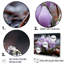 Lavande, neige d'hiver, fleur d'hiver - Snowdrops, art mural sur toile-446996191-446996188