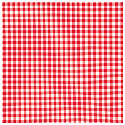 Red White Gingham Pattern Comforter