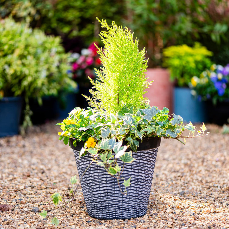 Pot Planter