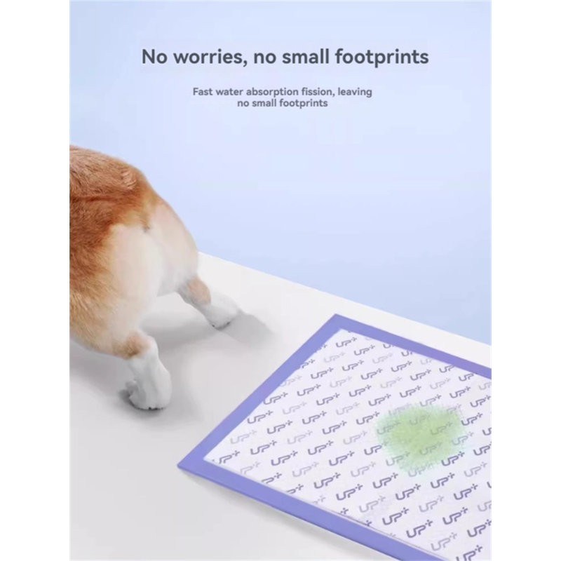 Reigate Orthopedic Polyester Pet Bed