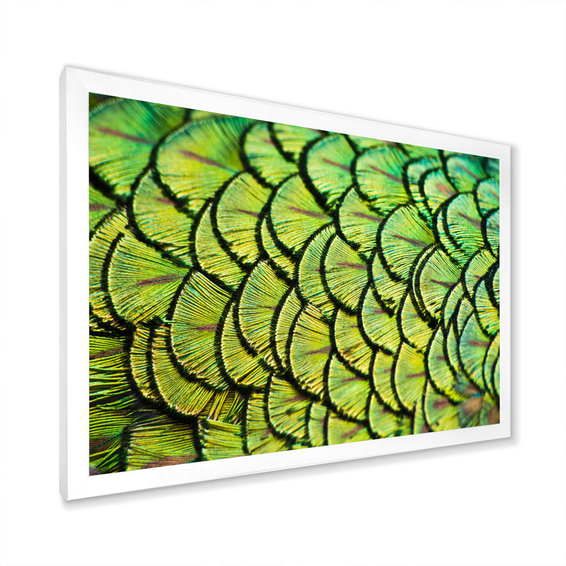 Plumes de paon vert - reproduction d'art sur toile, H 8 po x l 12 po x P 1 po, Cadre photo blanc