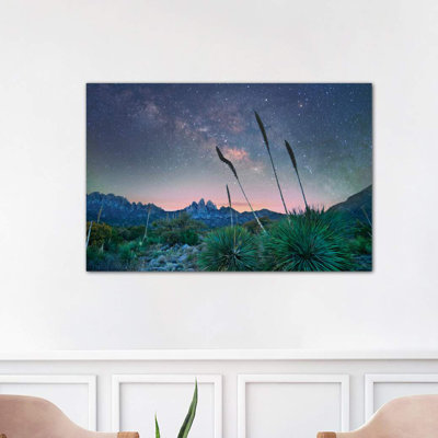Agave And The Milky Way, Organ Mountains-Desert Peaks National Monument, New Mexico II by Tim Fitzharris - Wrapped Canvas Print