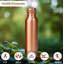 Belfry Kitchen Gehlert 1ml Copper Water Bottle