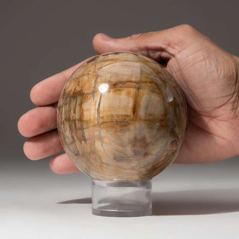 Polished Polychrome Sphere from Madagascar, 2.75" H x 2.75" W x 2.75" D, Gray/Black