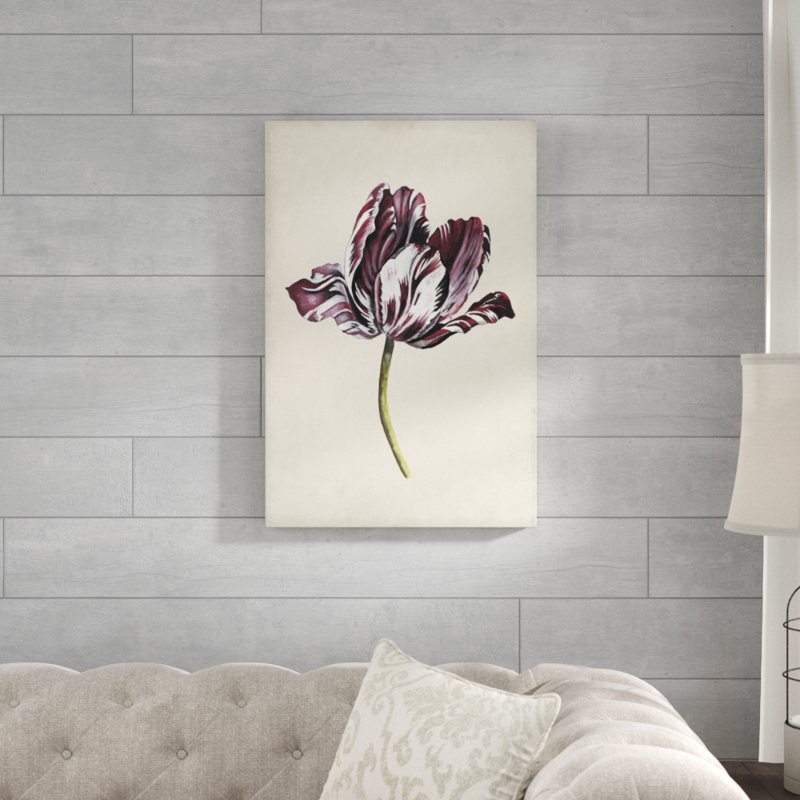 Antique Tulip Study I by Naomi McCavitt - Painting Print, 76cm H x 51cm W, Wrapped Canvas