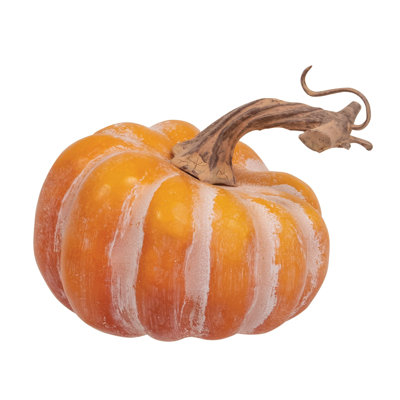 Citrouilles dans un sac
