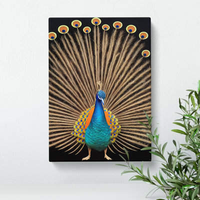 Feathers Of A Peacock - Wrapped Canvas Painting