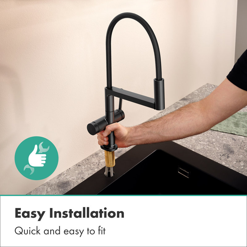 hansgrohe Talis N Semi-Pro PowderSpray Kitchen Faucet 1.75 GPM, Gunmetal Black