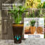 Jardinières en pot-428178296
