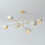 Turner 6 Light Chandelier