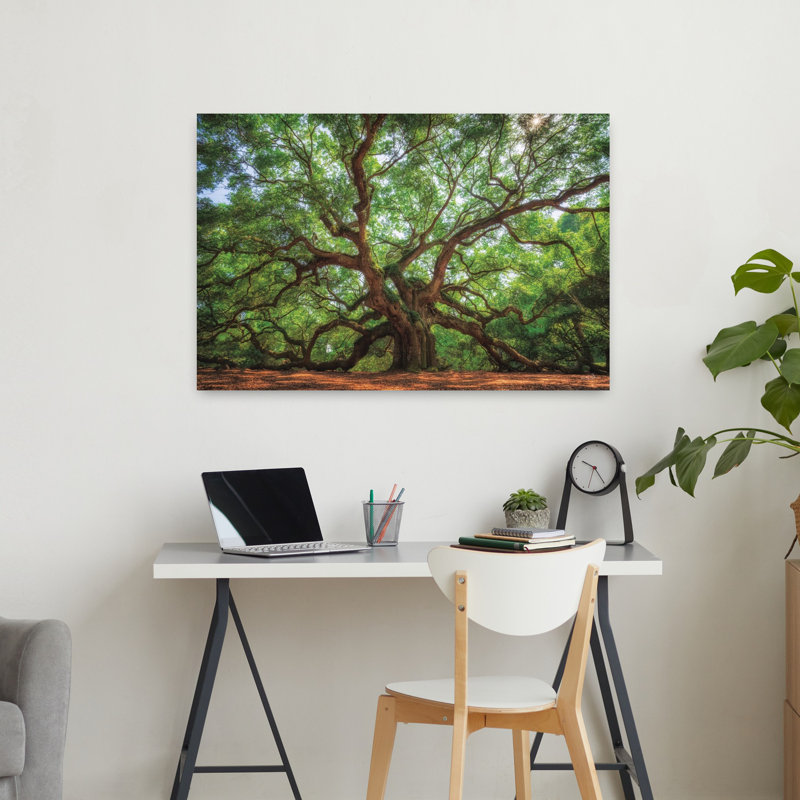 Ange chêne à Charleston, art contemporain de chêne, paysage naturel, H 24 po x l 36 po