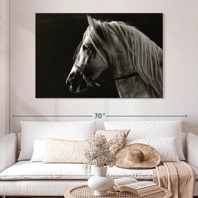 Cheval à crinière longue