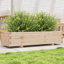 Bhavika Planter Box-1814111153-1814111151