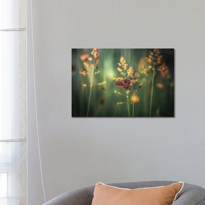 Last Light by Florentin Vinogradof - Wrapped Canvas Print