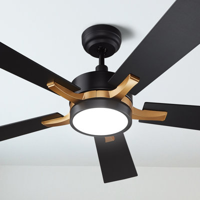 Quanique 52'' Ceiling Fan with LED Lights