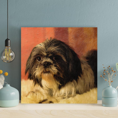 " Chocolate Shih Tzu Puppy " Painting Print