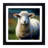 Sheep Post-Impressionism - Single Picture Frame Print on Wood-1037342038
