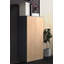 Amirbek Rectangle Accent Cabinet-88320952