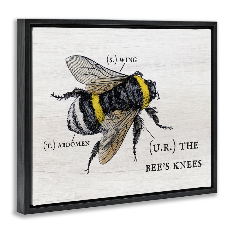 «Charm Bee's Knees Anatomy Brown Grain», art mural sur toile flottante par Daphne Polselli, H 21 po x l 17 po