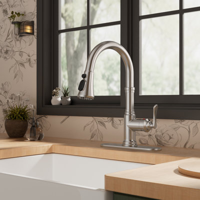 FURUISI Pull Down Kitchen Faucet