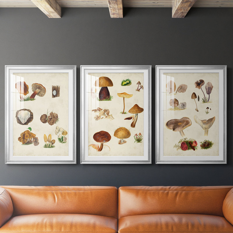 Champignon I - impression encadrée sur mesure de qualité supérieure mate - 3 pièces, Argent argent, H 19 po x l 27 po