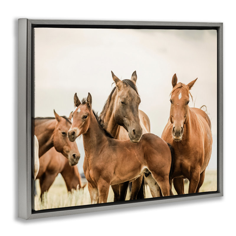 Cheval et poulains, reproduction d'art sur toile, H 17 po x l 21 po, Cadre flottant gris lustré