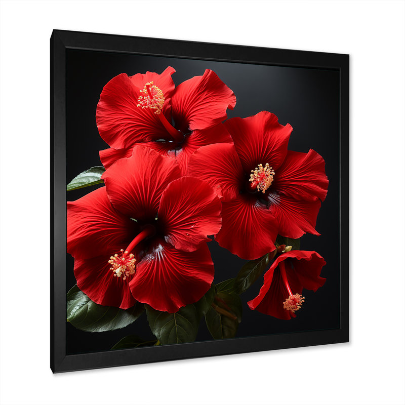 Hibiscus tropical II - Hibiscus, H 30 po x l 30 po x P 1,5 po, Cadre simple noir