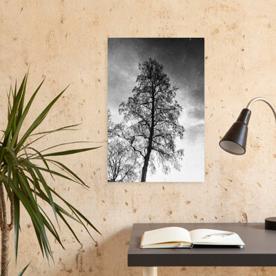 Art mural contemporain abstrait Trees In The Stars