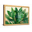 Plantes et fleurs, feuilles tropicales, plante verte, art-625207943-625207941-625207940